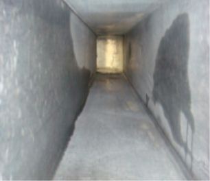 �͟��ܵ���ϴ��ʲôҎ(gu��)��